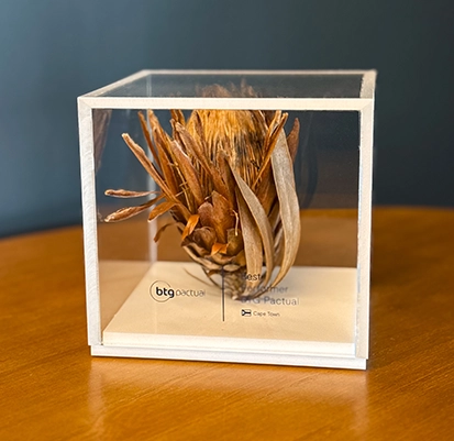 Best Performer - BTG Pactual - 2023